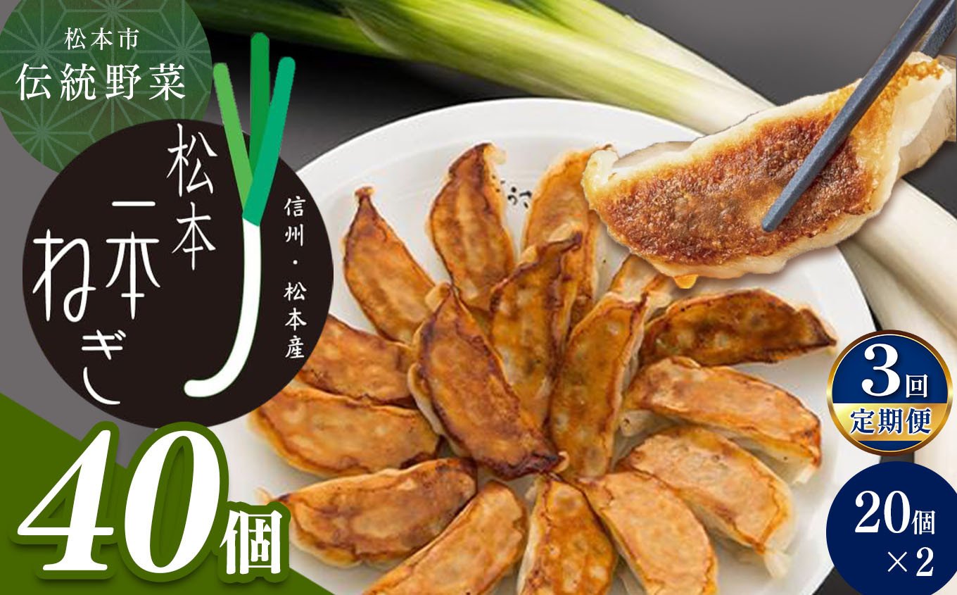 
                  【定期便3回】【伝統野菜松本一本ねぎ使用】松本一本ねぎ餃子　20個入り×2 | 餃子 ギョーザ 国産 長野県 松本市 松本一本ねぎ ネギ 野菜 加工品 信州産 ふるさと納税
                