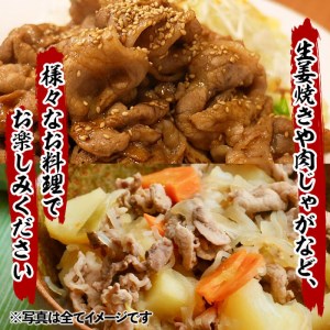 【2024年4月発送予定】鹿児島県産豚肉切り落とし 計4.5kg(300g×15P) a5-249-2404