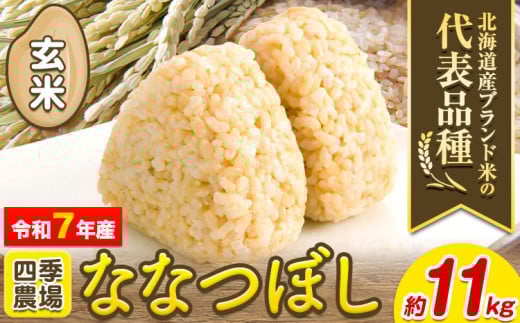 [2.5-47]　【令和7年産先行予約】玄米ななつぼし11kg 北海道 当別町　《10月末～（新米収穫出来次第、出荷）》