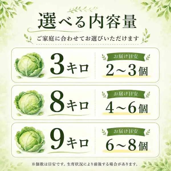 【2026年出荷分先行予約】富士山キャベツ　9kg