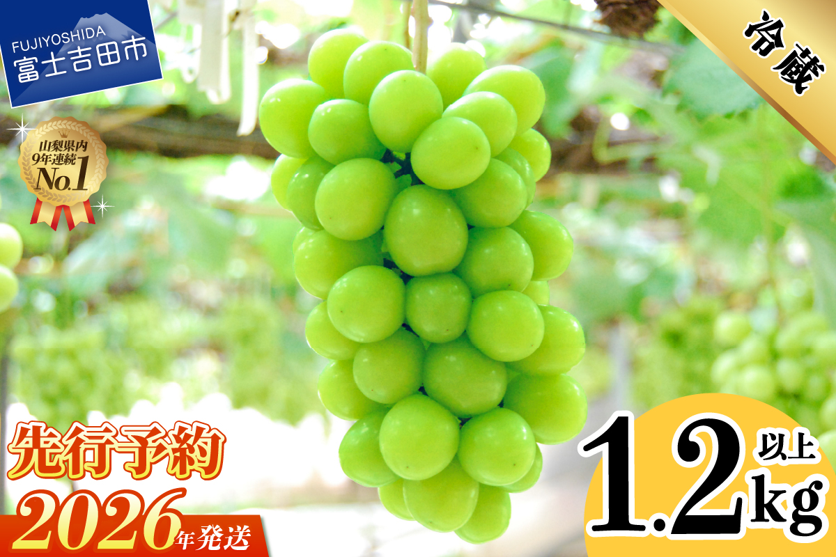 【2026年発送】山梨県産 シャインマスカット2～3房 (1.2kg以上)
