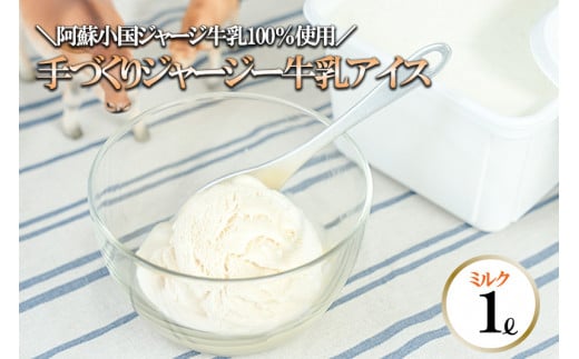 【ヒルトンビック】地元で愛され続けて30年以上！阿蘇小国ジャージー牛乳100%使用 ジェラトヒルトンの手作りアイスクリー夢（ミルク×1L）