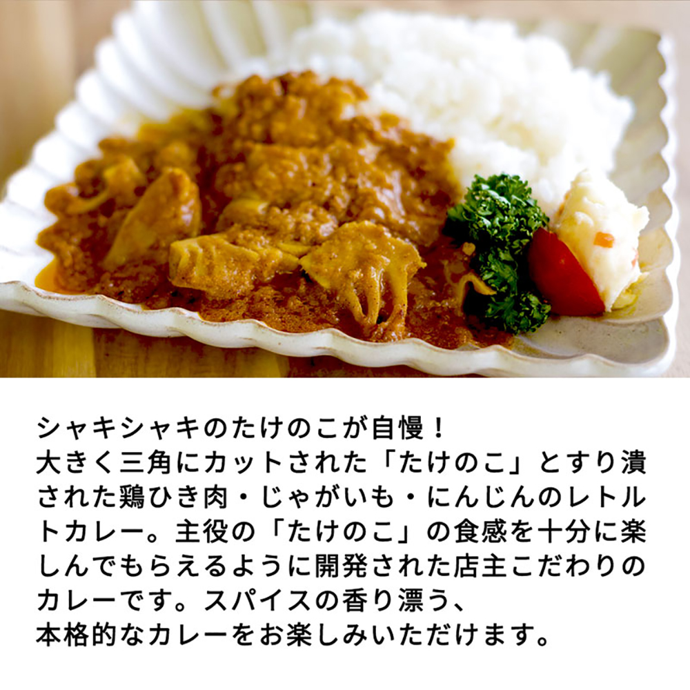 【丸森町特産】 たけのこカレー5個【08109】
