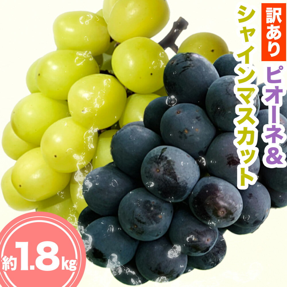 【ふるさと納税】訳ありピオーネ＆シャインマスカット 約1.8kg 《9月中旬-10月上旬出荷予定(土日祝除く)》広島県 神石高原町 果物 フルーツ ぶどう シャインマスカット 訳あり 送料無料