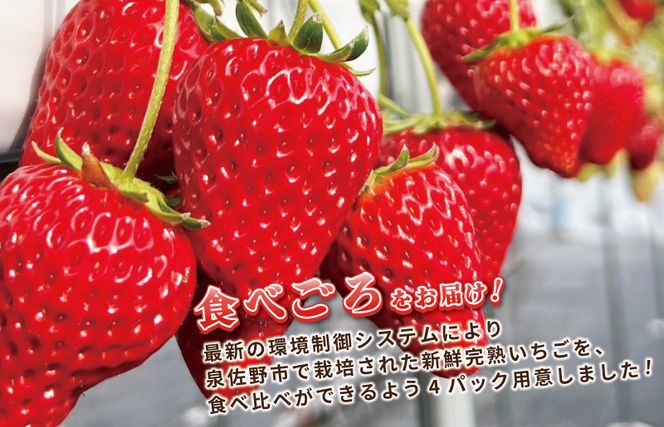 【先行予約】完熟新鮮 いちご食べ比べ 4パック 合計1080g以上 099H2855