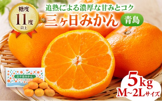
                  三ヶ日みかん 5kg 青島 M〜2L 果物 フルーツ みかん
                