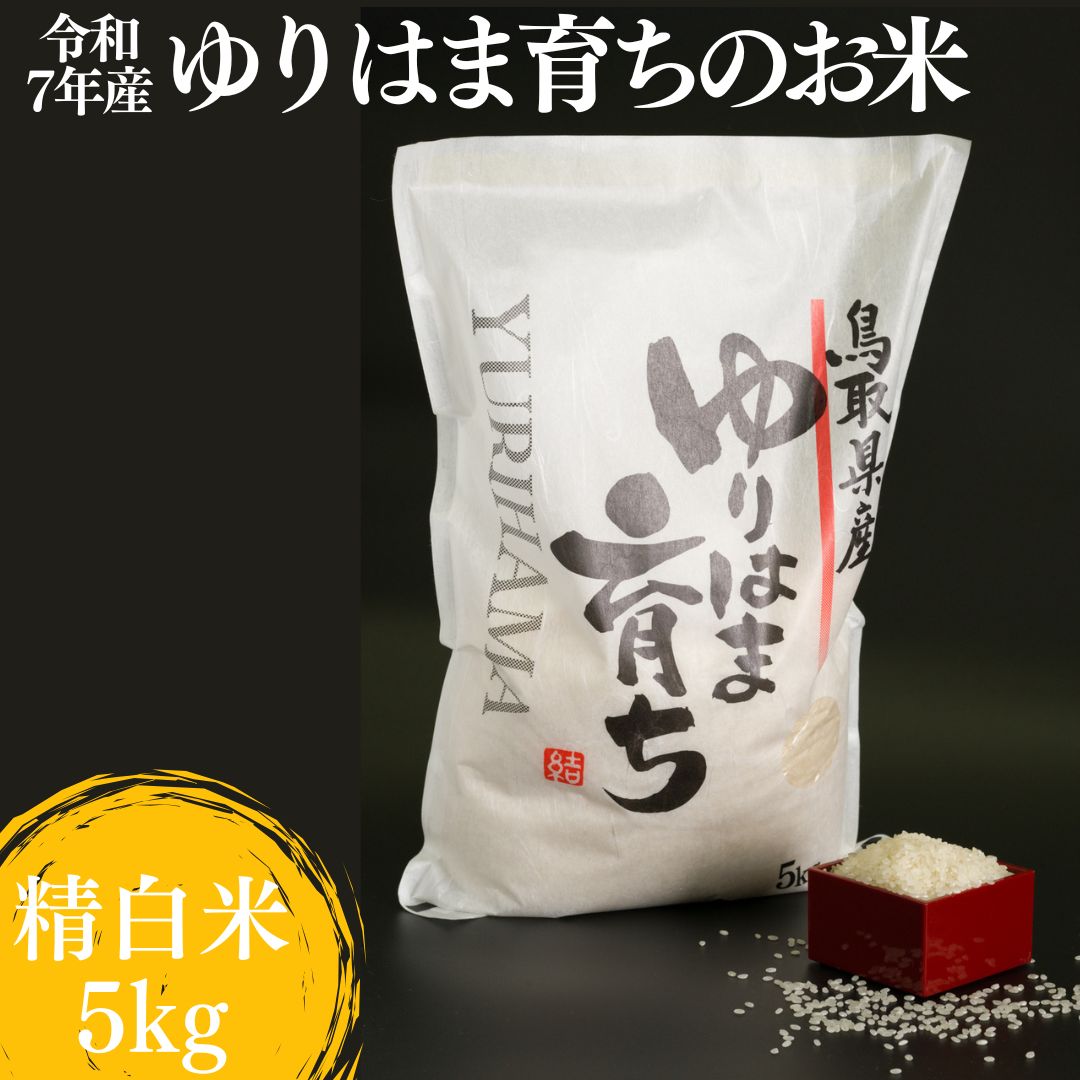 精米 5kg 白米 コシヒカリ こしひかり 鳥取県産 令和7年産 ゆりはま 育ち | 227M