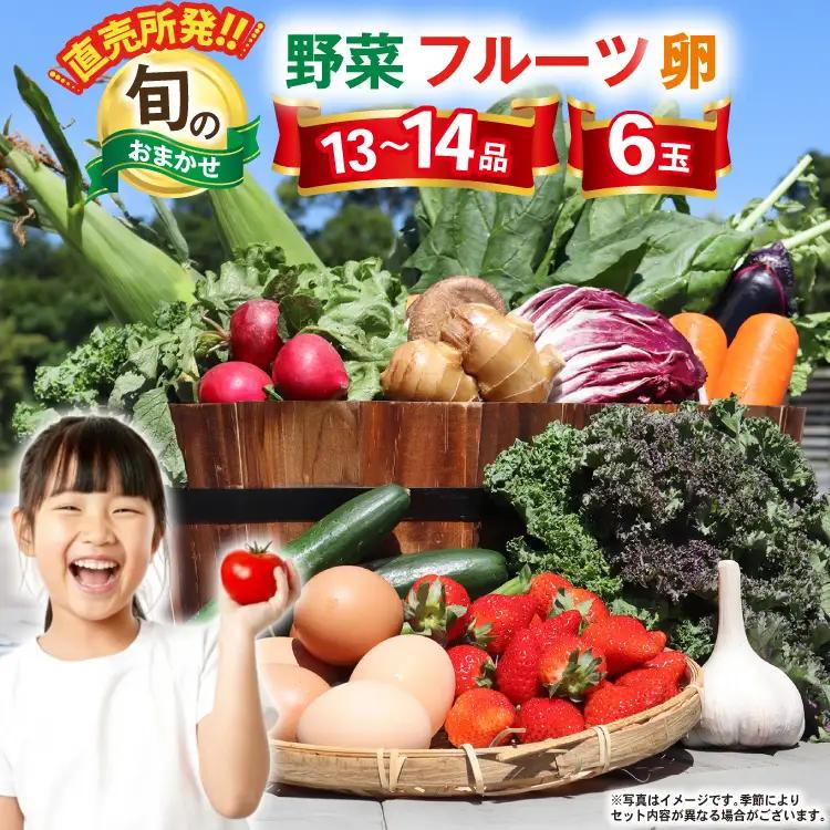 CA025 【野菜セット】 野菜 フルーツ 卵 13～14品目 6玉
