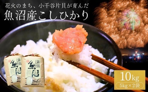 【令和7年産】魚沼産コシヒカリ 10kg (5kg×2袋) 米萬商店 | 新潟県産 白米 精米 産地直送 小分け 四尺玉花火の町 片貝産 老舗米屋の厳選米【0002-KM02-03】
