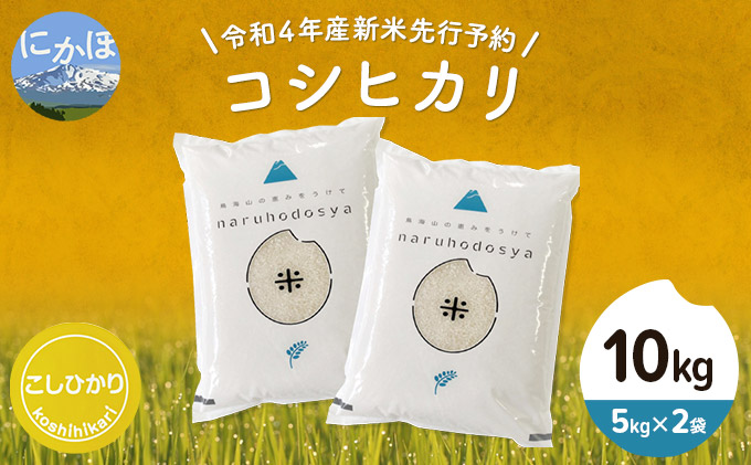 《令和4年産新米先行予約》コシヒカリ 白米 10kg（5kg×2袋）