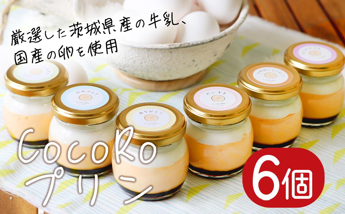 CocoRoプリン 6個セット（ ギフト包装 ＋ メッセージシール「ありがとう」 ）【 茨城県 つくば市 プリン スイーツ 生クリーム カスタードクリーム バニラ 牛乳 卵 国産 甘味 お菓子 デザート ギフト 】