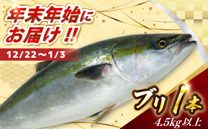 
            【12/22～1/3にお届け】【着日指定必須】ブリ 1本　(4.5キロ以上) 【ひまわり】 [RBK009]
          