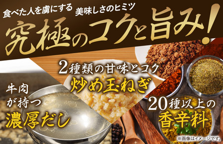 食研カレー２００ｇ×１０袋 【VB02360SET10】