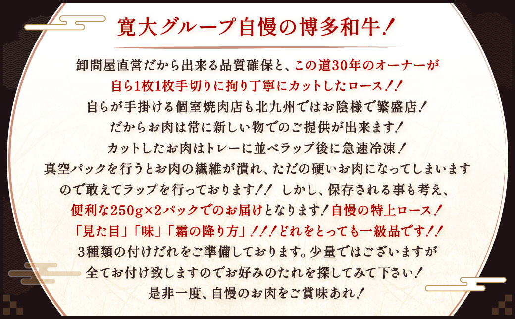 博多和牛 特上ロース 約500g（約250g×2パック）