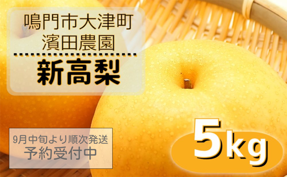 【濱田農園】 新高梨 約5kg 【数量限定】【予約受付中・9月下旬より順次発送】フルーツ 果物 梨 ナシ 完熟梨 季節の梨 旬の梨 秋の梨 鳴門の梨 完熟果物 季節の果物 旬の果物 秋の果物 鳴門の果物 完熟フルーツ 季節のフルーツ 旬のフルーツ 秋のフルーツ 鳴門のフルーツ 濱田農園の果物 濱田農園のフルーツ 梨 果物