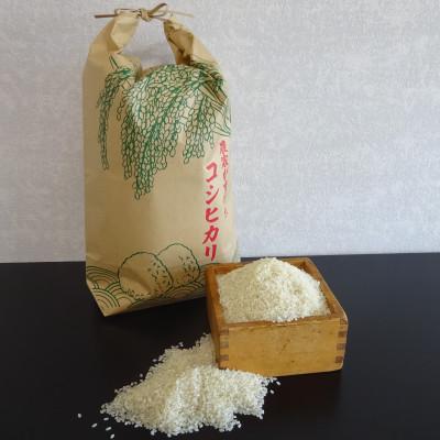 ふるさと納税 いわき市 令和7年産【新米】福島県産コシヒカリ 精米 5kg