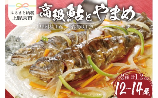 【一級河川(魚)】甲州桂川の高級鮎（約600g）とやまめ（約600g）セット 鮎 やまめ 魚 川魚 ギフト 和食 鮮魚 清流 塩焼き 甘露煮 贈答 贈り物 送料無料 ※沖縄県、離島不可 山梨県 上野原市