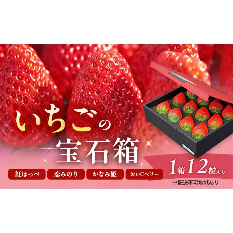 苺 先行予約 いちごの宝石箱 1箱12粒入り イチゴ 果物 苺 