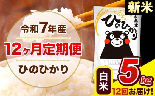 新米 令和7年産 ひのひかり 【12ヶ月定期便】 白米  5kg (5kg×1袋) 計12回お届け 《1月から出荷開始》 熊本県産 白米 精米 ひの 米 こめ お米 熊本県 長洲町