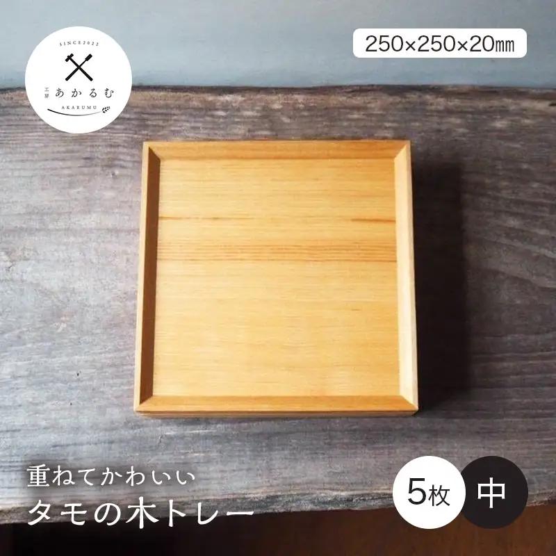 重ねてかわいい タモの木トレー 中 5枚入り FAG-0186