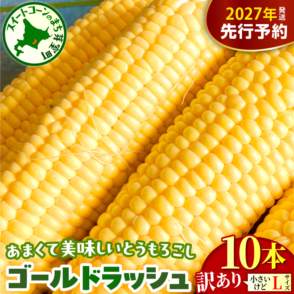 【2027年8月上旬～8月下旬頃配送】【訳あり】北海道十勝芽室町 とうもろこし ゴールドラッシュ Lサイズ 10本セット　me078-006-27b／スイートコーン コーン 朝採り 産地直送 糖度 生