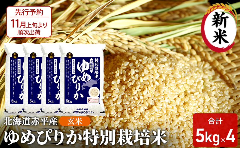玄米 北海道赤平産 ゆめぴりか 20kg (5kg×4袋) 特別栽培米 米 北海道 お米 ふるさと納税