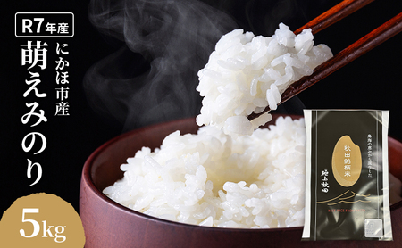 白米 萌えみのり 5kg 令和7年産 精米 スピード配送