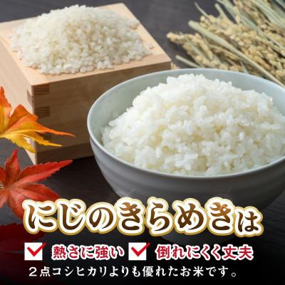 ふるさと納税 御坊市 御坊・日高地方産　粒より米　にじのきらめき　5kg |  | 02