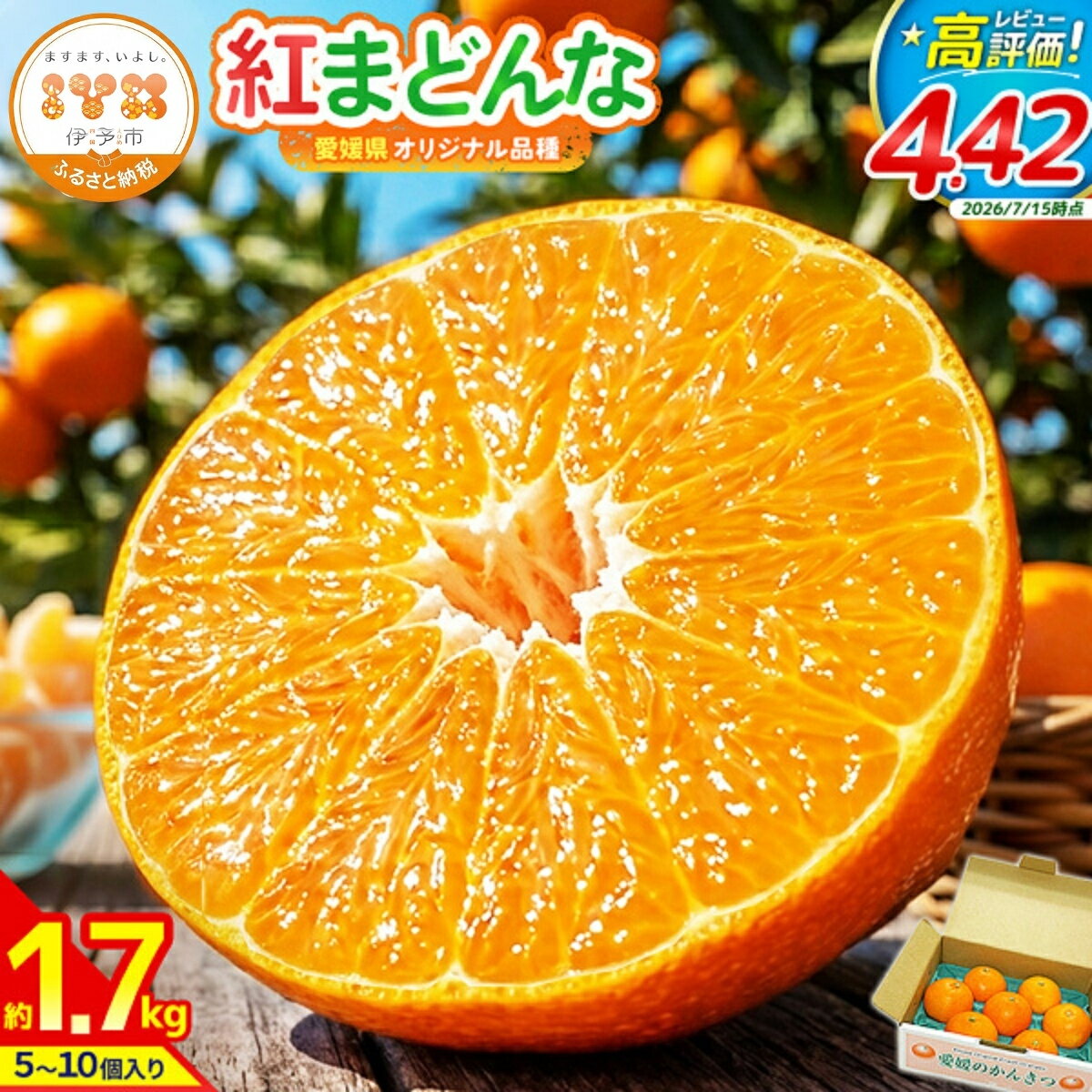 【ふるさと納税】【2026年先行予約】紅まどんな 1.7kg (5～10個) 愛媛みかん 愛果28号 化粧箱入り 【11月下旬より順次発送予定】 紅マドンナ まどんな マドンナ みかん ミカン 蜜柑 果物 くだもの フルーツ 柑橘 かんきつ 愛媛果試第28号 贈答用 人気 国産 愛媛 伊予市｜B36