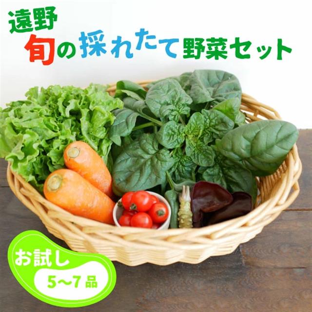 旬の採れたて野菜セット（5～7品目） こんたでぃーの遠野