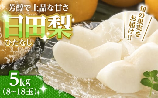 【先行予約・26年7月以降発送】 旬の日田梨お届け便  約5kg(幸水梨、豊水梨、秋月梨、新高梨、新興梨) なし 梨 果物 フルーツ 和梨 こうすい ほうすい あきづき しんこう にいたか 甘い 梨 日田市 / 南国フルーツ株式会社【配送不可地域：離島】[ARET008]