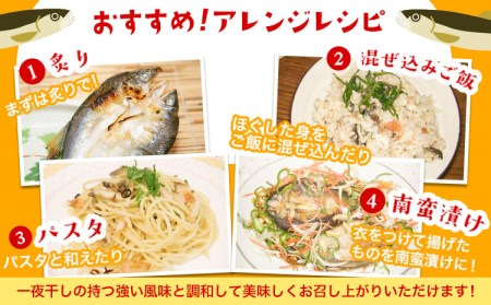 「旨いはずです。」特選あゆ一夜干しセット(13枚入)　日高川漁業協同組合《90日以内に順次出荷(土日祝除く)》 和歌山県 日高川町 あゆ 鮎 魚 一夜干し