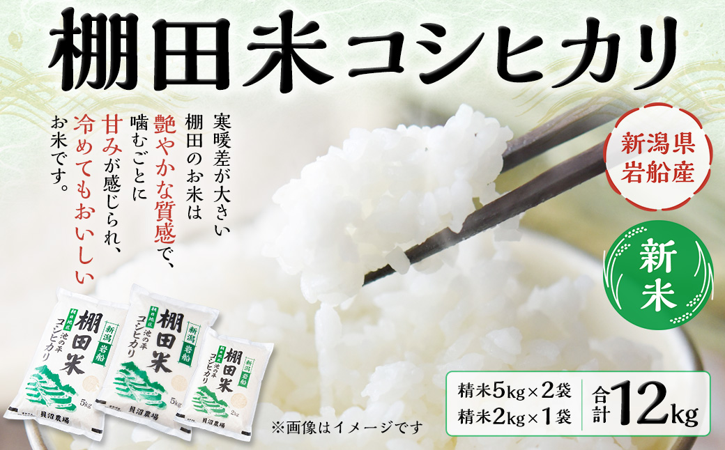 【新米受付・令和7年産米】NB4107 新潟県岩船産　棚田米コシヒカリ12kg