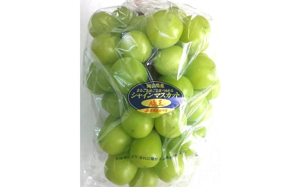 2025年 先行予約 岡山県産フルーツ詰め合わせ（シャインマスカット1房、桃2個入）