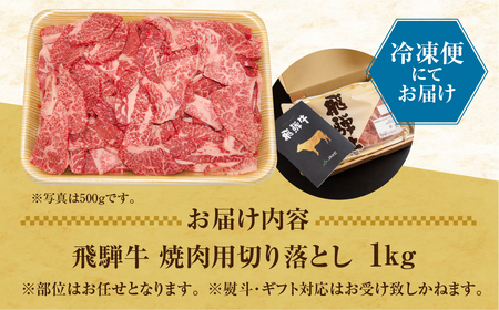 【2週間～発送】 訳あり 飛騨牛 焼き肉用 1㎏ 切り落とし 牛肉 肉 バーベキュー セット 和牛 焼肉 訳アリ 部位おまかせ ウデ バラ モモ肉 25000円 [S201]