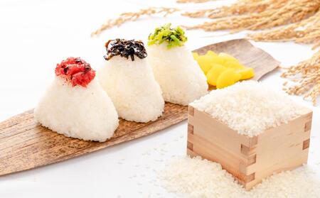 【令和8年産 先行予約】【12ヶ月定期便】5kg(5kg×1袋) 県認証魚沼産コシヒカリ |津南町 コシヒカリ 定期便