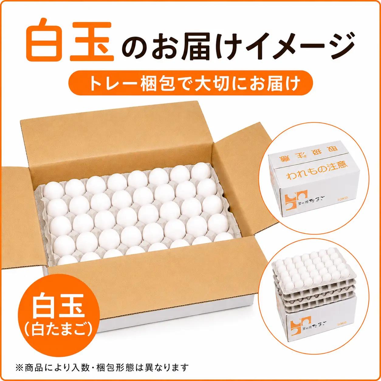 【2週間以内発送】白玉 サイズLM アスタキサンチン卵 10kg｜菜の花エッグ 自社農場 すぐ発送 常温 抗酸化 健康 卵かけご飯 ギフト 君津養鶏場直送｜千葉県 君津市