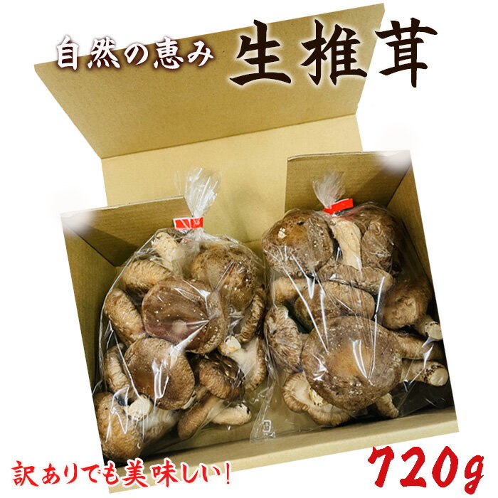 【ふるさと納税】No.467 訳ありでも美味しい！自然の恵み生椎茸720g ／ しいたけ 野菜 煮物 鍋 栄養 送料無料 埼玉県