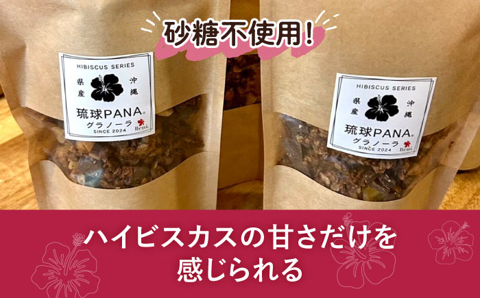 琉球PANA®︎米粉グラノーラ 2個 スイーツ セット ギフト お菓子 グルテンフリー 沖縄市 / GLÜCKS [BCDY002]