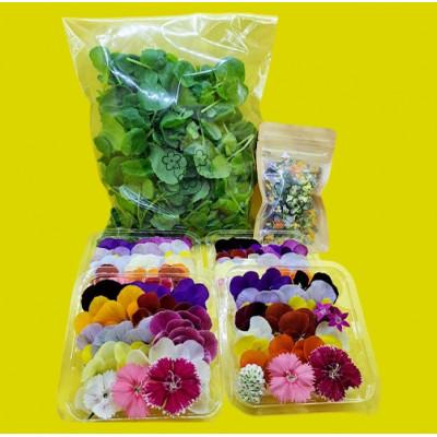 ふるさと納税 播磨町 食用のエディブルフラワー(生花×4パック・ドライ×1袋)・サラダクレソン×1袋【Dセット】