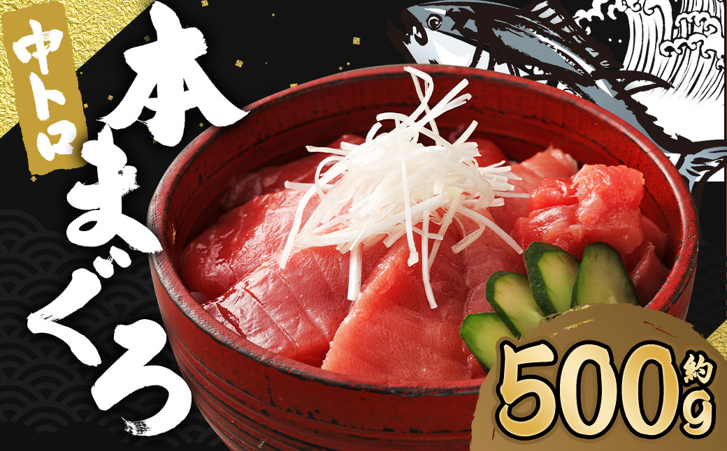 
            長崎県産 本マグロ「中トロ」約500g【大村湾漁業協同組合】
          