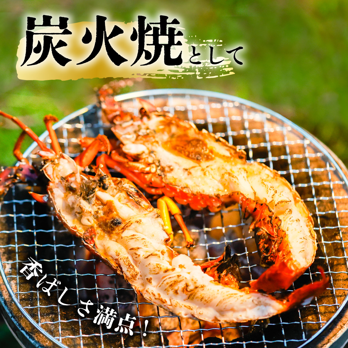【季節限定】箱詰め伊勢海老サイズおまかせ小セット(約1.0kg)
