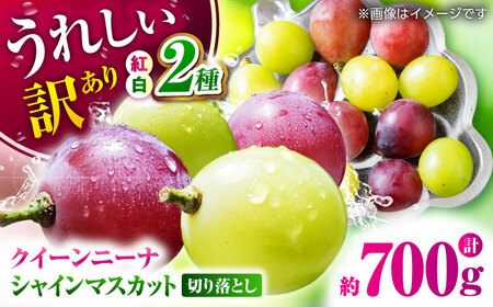 【先行予約】訳あり 紅白ぶどう2種（シャインマスカット＆クイーンニーナ）食べ比べ 切り落とし 計約700g  【合同会社 社方園】[ZBZ042]