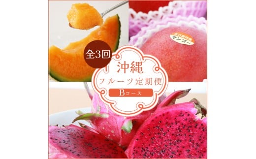 【3回定期便 Bコ ース】フルーツ定期便／メロン・ マンゴー・ ドラゴン赤＜琉球マルシェ＞沖縄県宮古島（AR234）