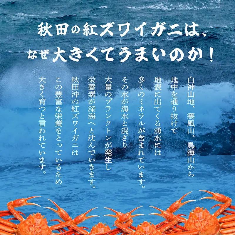 紅ズワイガニ 冷凍 2匹 1.4kg【安田水産】
