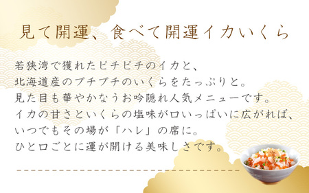 [047-b022] 海鮮 ご飯にのせるだけ！手間なし こだわり海鮮丼「開運イカいくらめしの素 10食」（1袋 90g） 【冷凍 お取り寄せ おうち時間 イクラ いか グルメ】