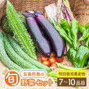 【ふるさと納税】旬の野菜セット（7-10品目10kg未満）五島市/やぁしゃ便 [PBG003] 野菜 やさい 詰め合わせ セット