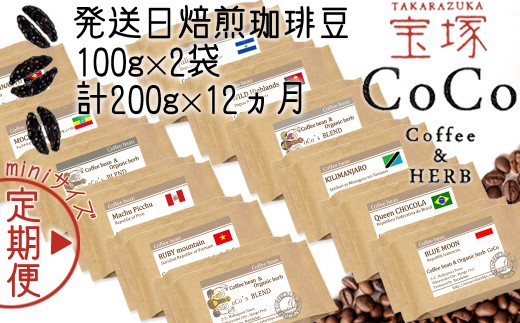 【宝塚】12ヶ月の定期便（当日自家焙煎珈琲豆・全12種）mini【粉】