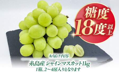 【先行予約】【糖度18度以上】 糸島産 シャインマスカット 1kg（2から4房） 【2025年8月中旬以降順次発送】 糸島市 / 和饗エコファーム フルーツ 果物[AVI006]