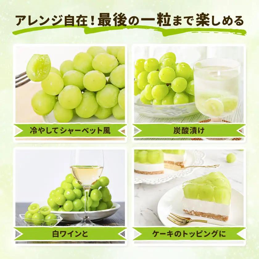 シャインマスカット 1.5kg 株式会社エフビーネット《8月中旬-9月上旬頃出荷》熊本県 菊池市 ぶどう ブドウ マスカット 果物 フルーツ デザート ギフト ご贈答 熊本県産